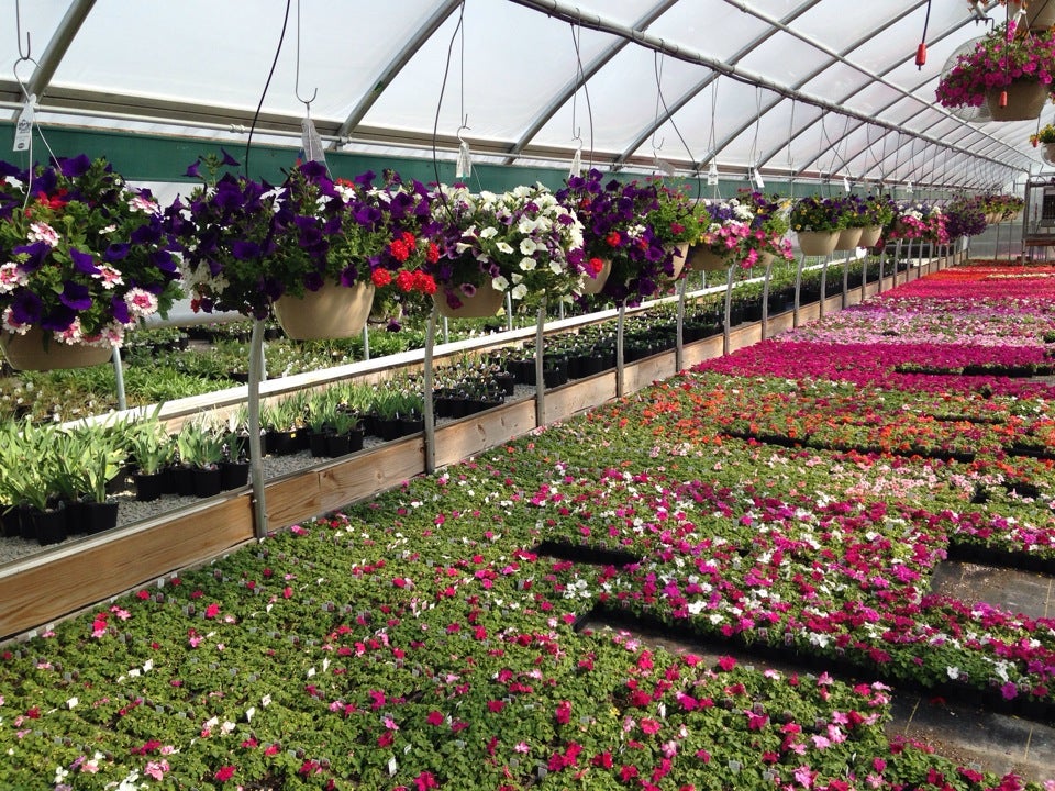 Ebert's Greenhouse Village, W1795 Fox Rd, Ixonia, Town of, WI, Gardens MapQuest