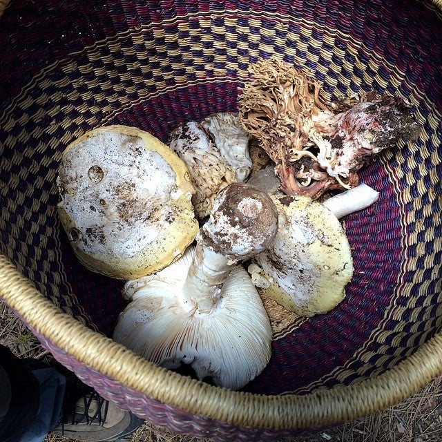 Bethel Island, CA Map & Directions MapQuest