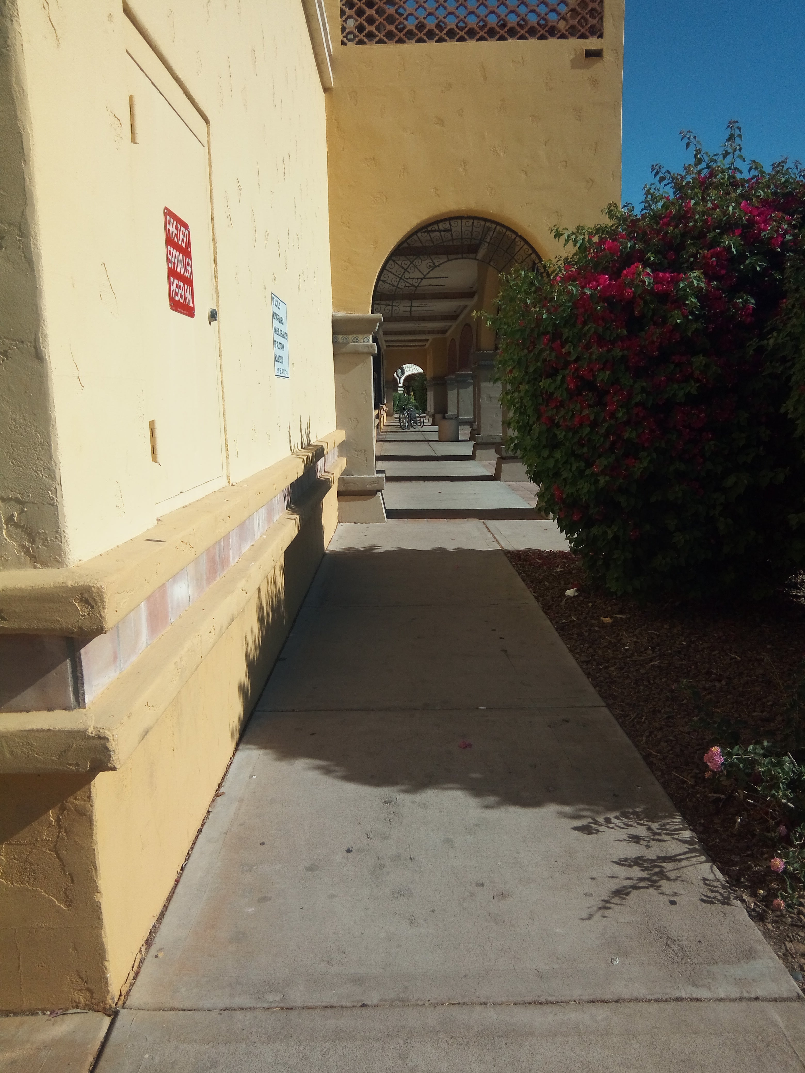Planet Fitness, 320 E Bell Rd, Phoenix, AZ, Health Clubs & Gyms - MapQuest