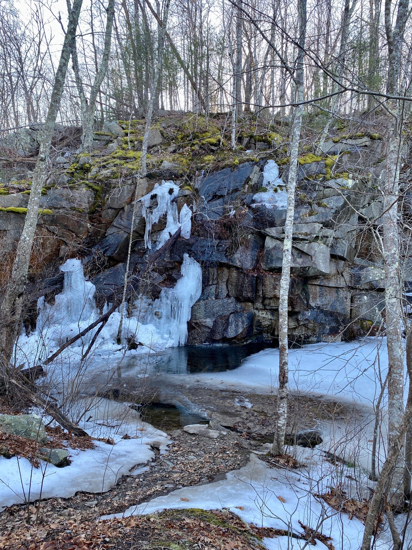 Freetown Ledge, State Forest Rd, Freetown, MA, Landmark MapQuest