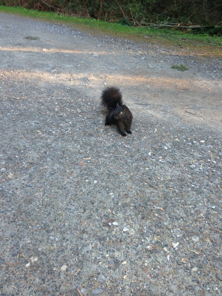BC Parkway Urban Trail