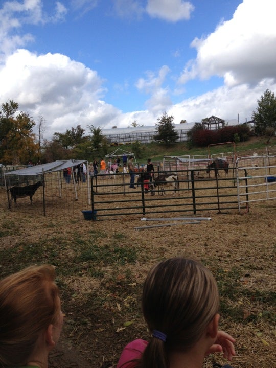 Wurth Farms, 1720 S Friendship Rd, Paducah, KY, Food Products Retail