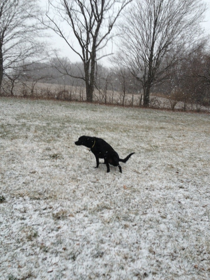 Xenia Water Tower, Upper Bellbrook Rd, Xenia, OH, Landmark MapQuest