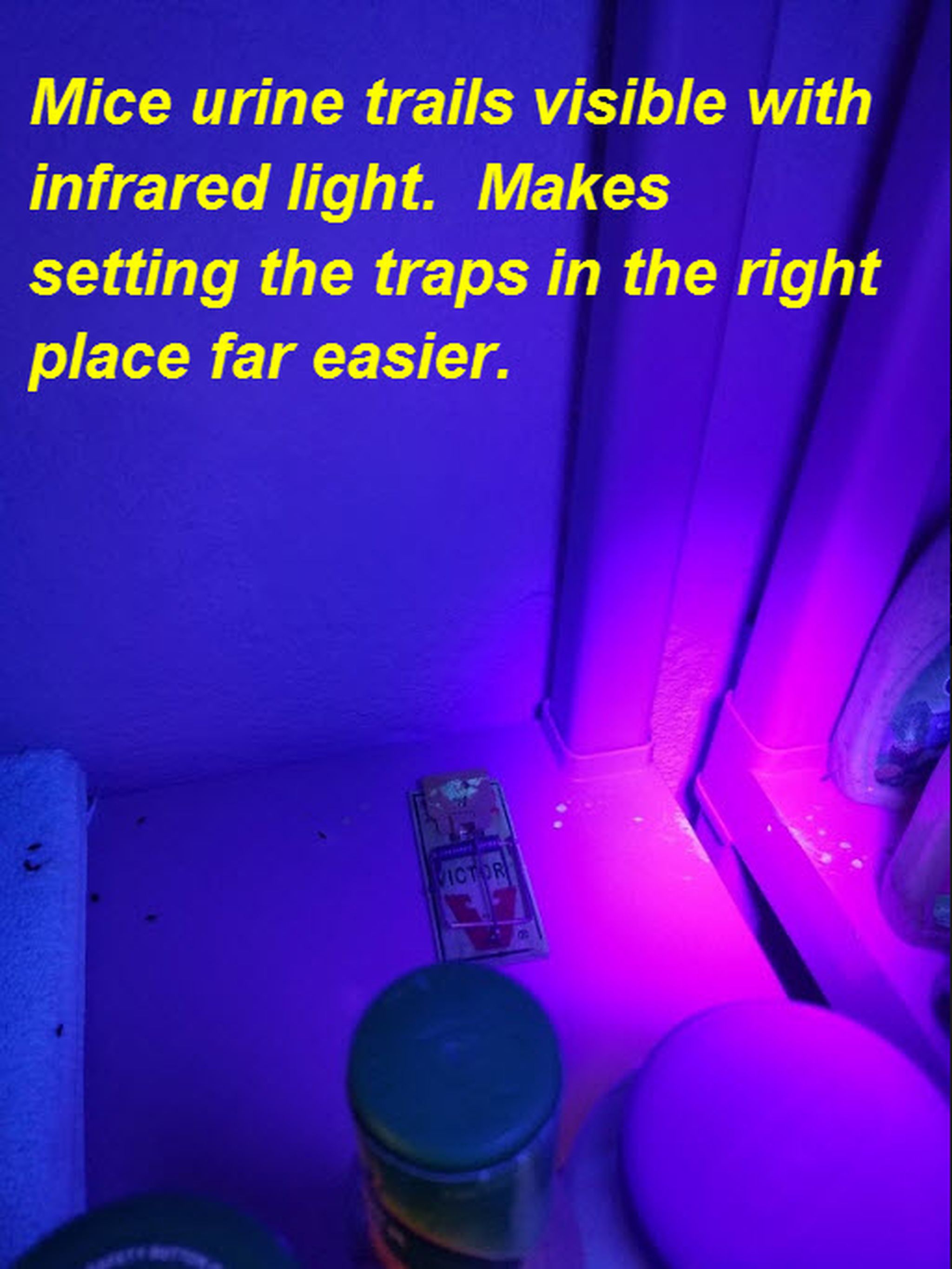 Spokane Pest Pro, 12128 N Division St, 257, Spokane, WA, Pest Control