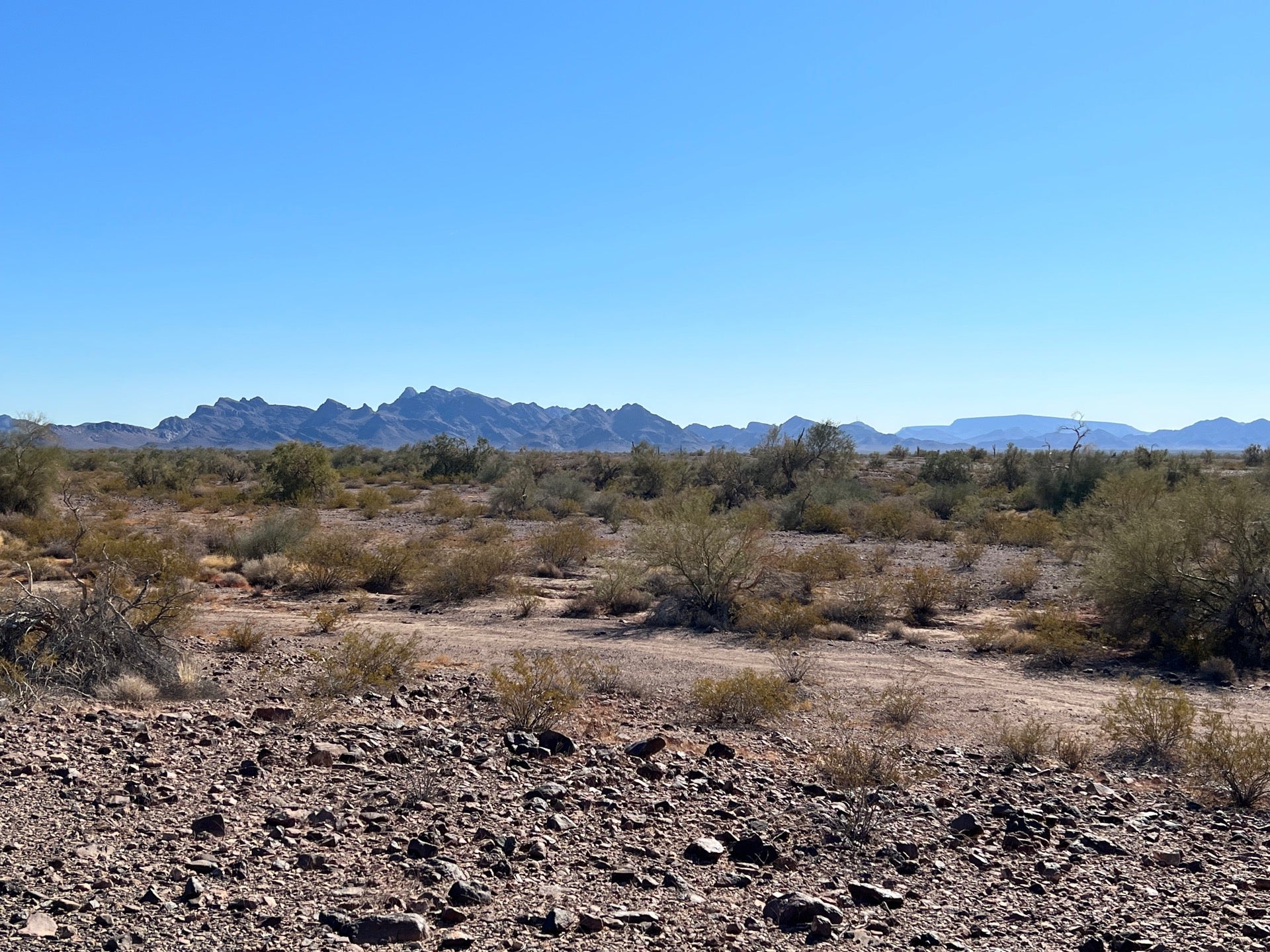 Plomosa Rd Campground - Blm, Quartzsite, AZ, Campgrounds - MapQuest