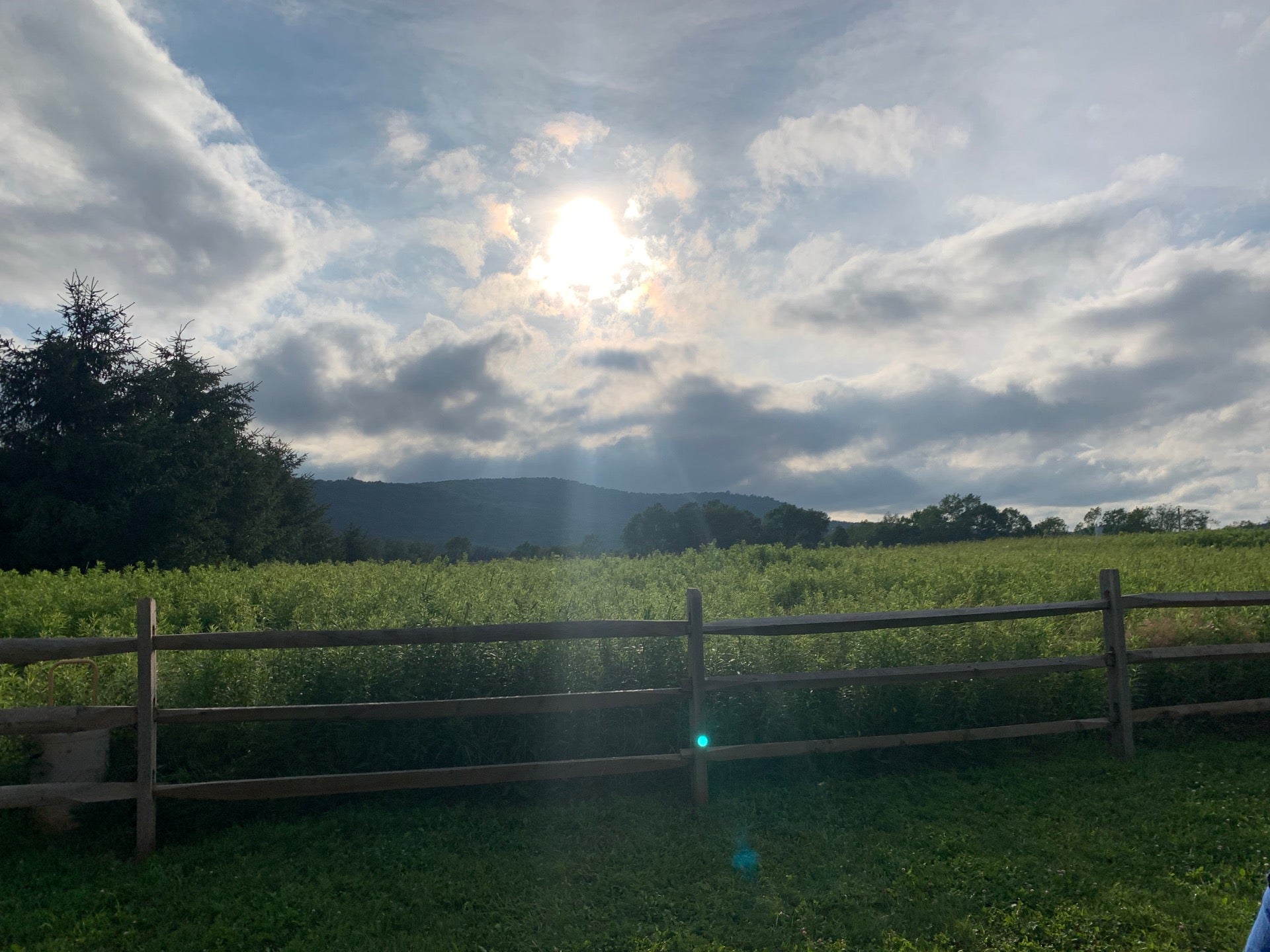 Cherry Valley, NY Map & Directions MapQuest