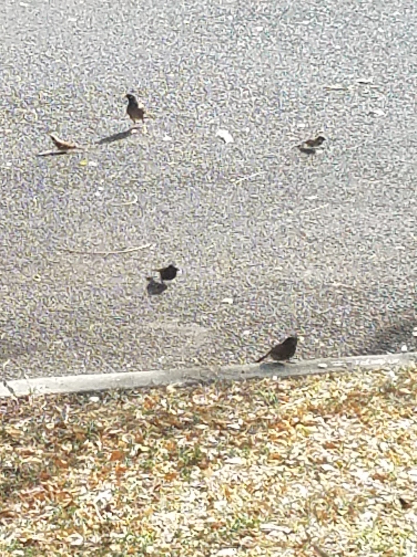 Pearl City, HI Map & Directions MapQuest