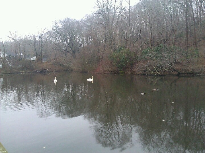 Wading River Duck Pond, N Country Rd, Riverhead, Town of, NY, Lake