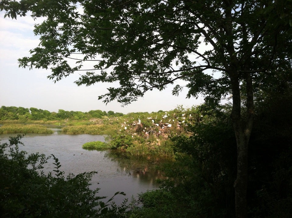 Smith Oak Rookery, Luke Ave, High Island, TX - MapQuest