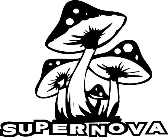 Intenze Tattoo Ink - SuperNova Smoke Shop