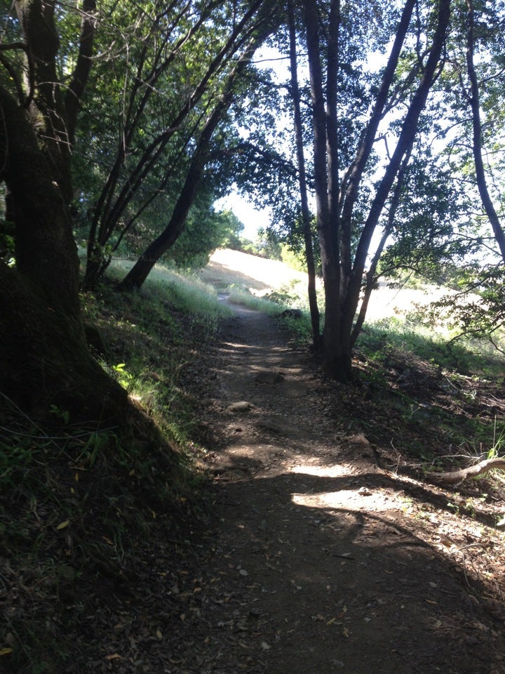 Big Trees Trail, Novato, CA, Trail MapQuest