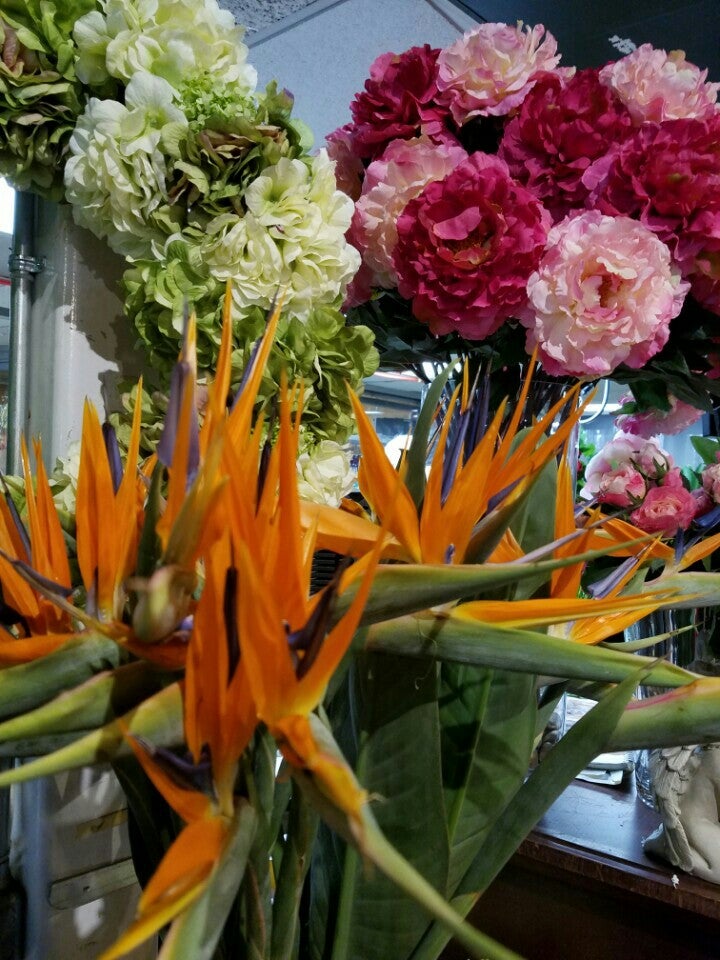 Queens Garden Nursery, 1533 153rd Pl, Whitestone, NY, Retail nurseries