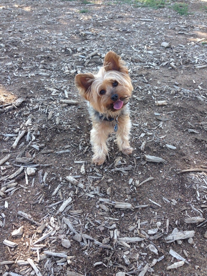 Fossil Creek Dog Park, Fort Collins, CO, Parks MapQuest