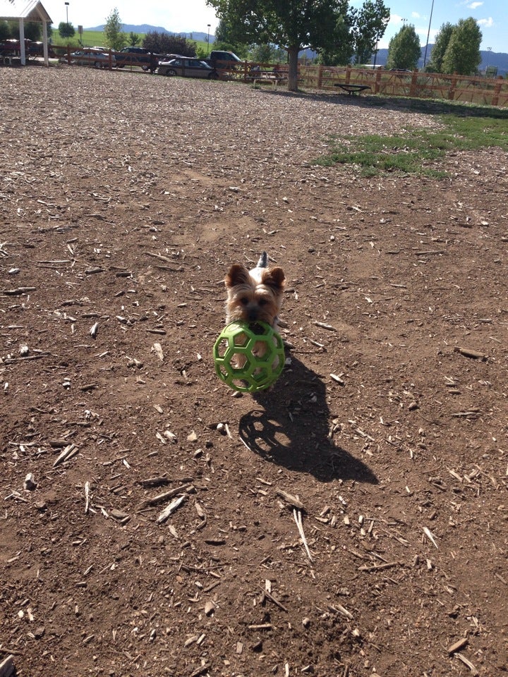 Fossil Creek Dog Park, Fort Collins, CO, Parks MapQuest