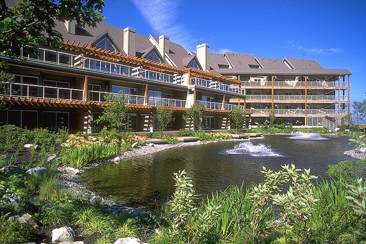 West Coast Moss Removal