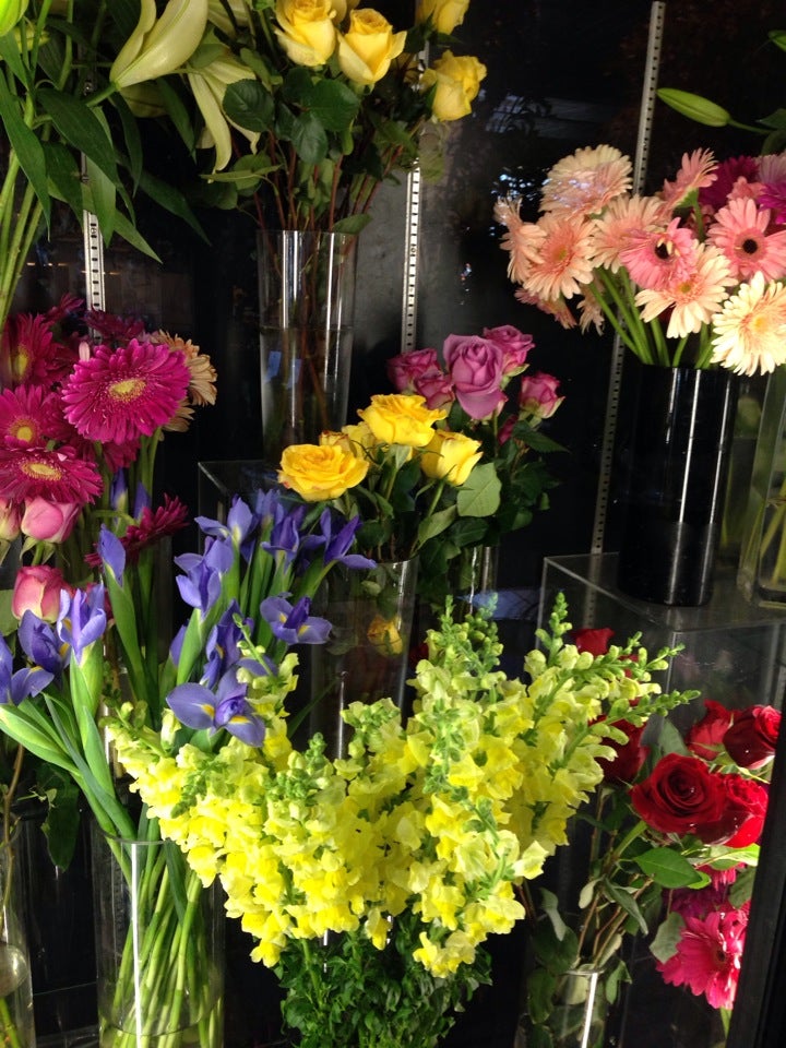 Queens Garden Nursery, 1533 153rd Pl, Whitestone, NY, Retail nurseries