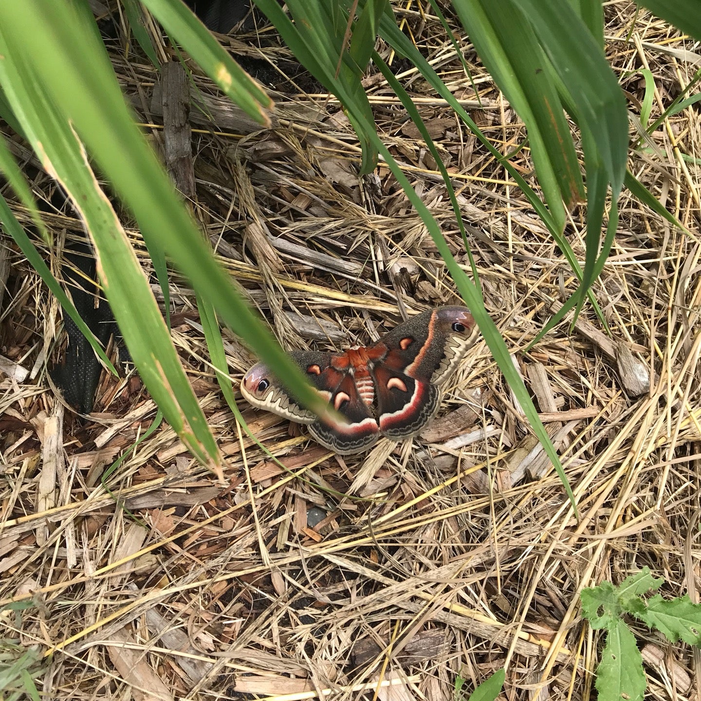 Marshall, MN Map & Directions MapQuest