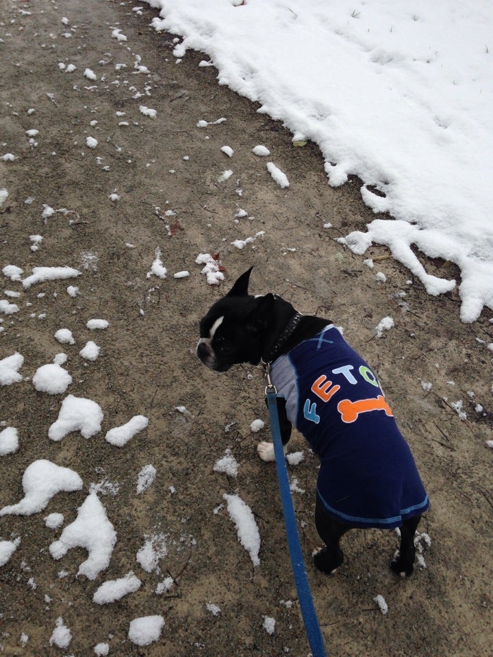 Montour Trail, Clifton Road, Upper St Clair, PA, Trail MapQuest