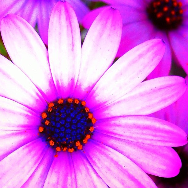 Glen Eden Sun Club, 25999 Glen Eden Rd, Corona, CA, Hotels & Motels