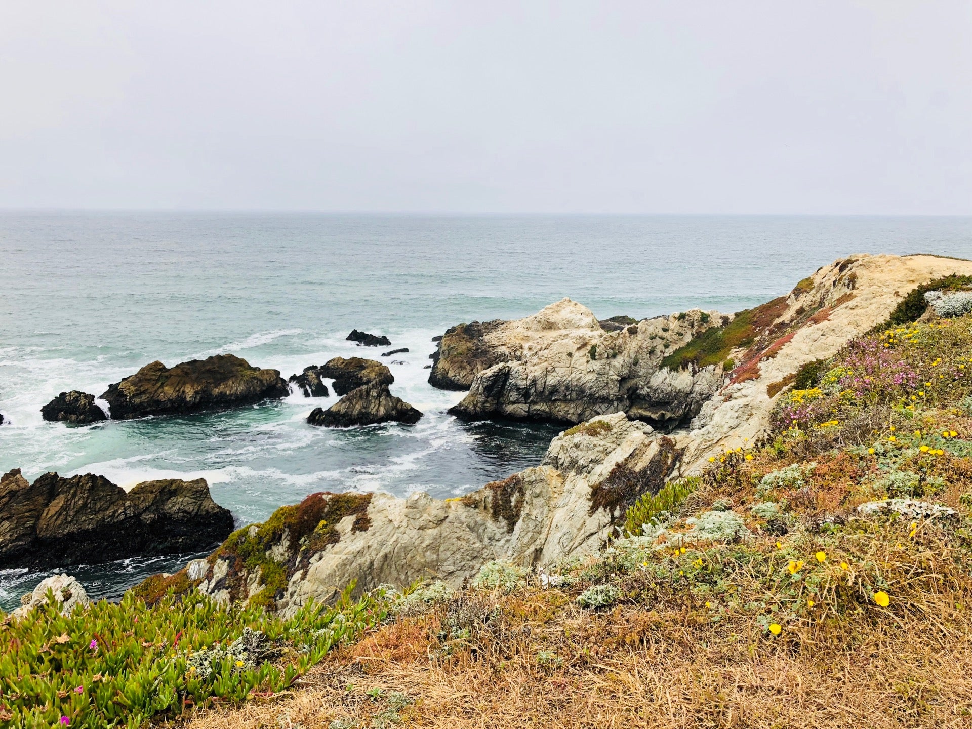 Bodega Bay Trailhead, Westshore Rd, Bodega Bay, CA, Trail MapQuest