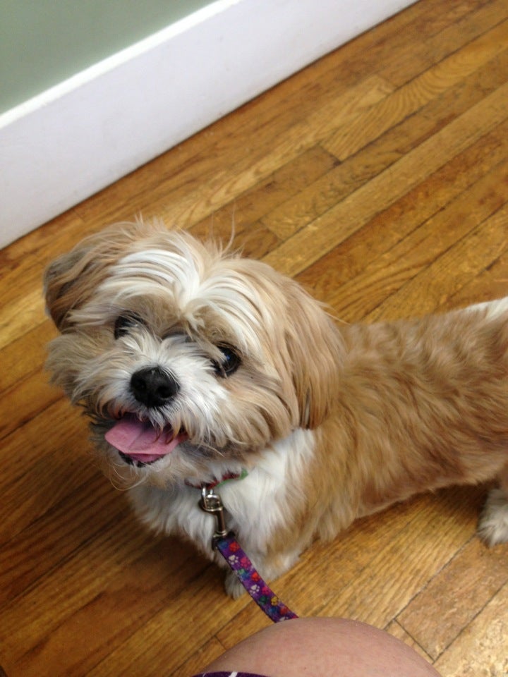 Canobie Lake Veterinary Hospital, 72 Range Rd, Windham, Town of, NH, Veterinarians MapQuest