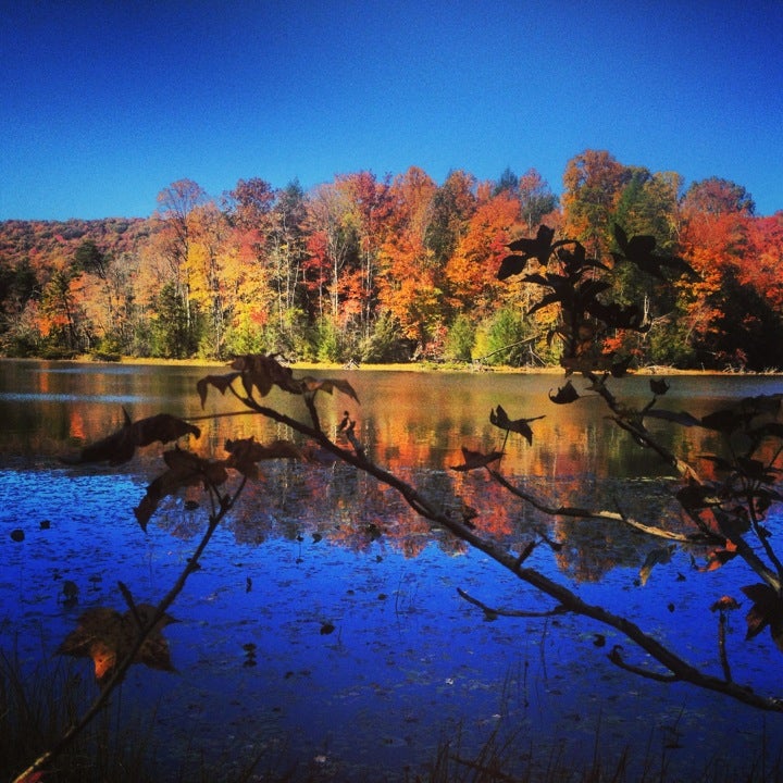 Fall Branch, TN Map & Directions MapQuest