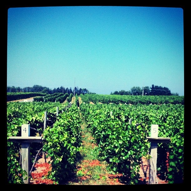 Baroda, MI Map & Directions MapQuest