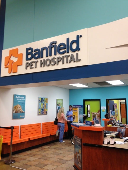 Banfield pet hospital chad hot sale drive