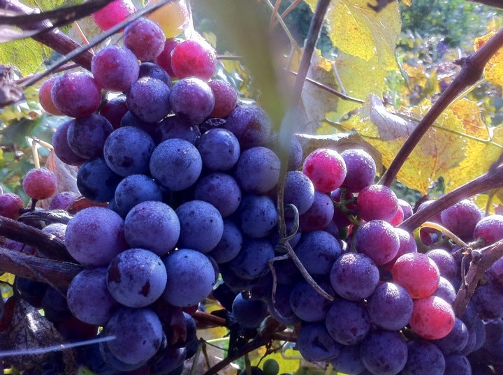 Bidwell, OH Map & Directions MapQuest