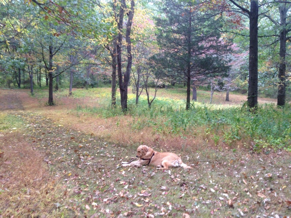 Tuxedo, NY Map & Directions MapQuest