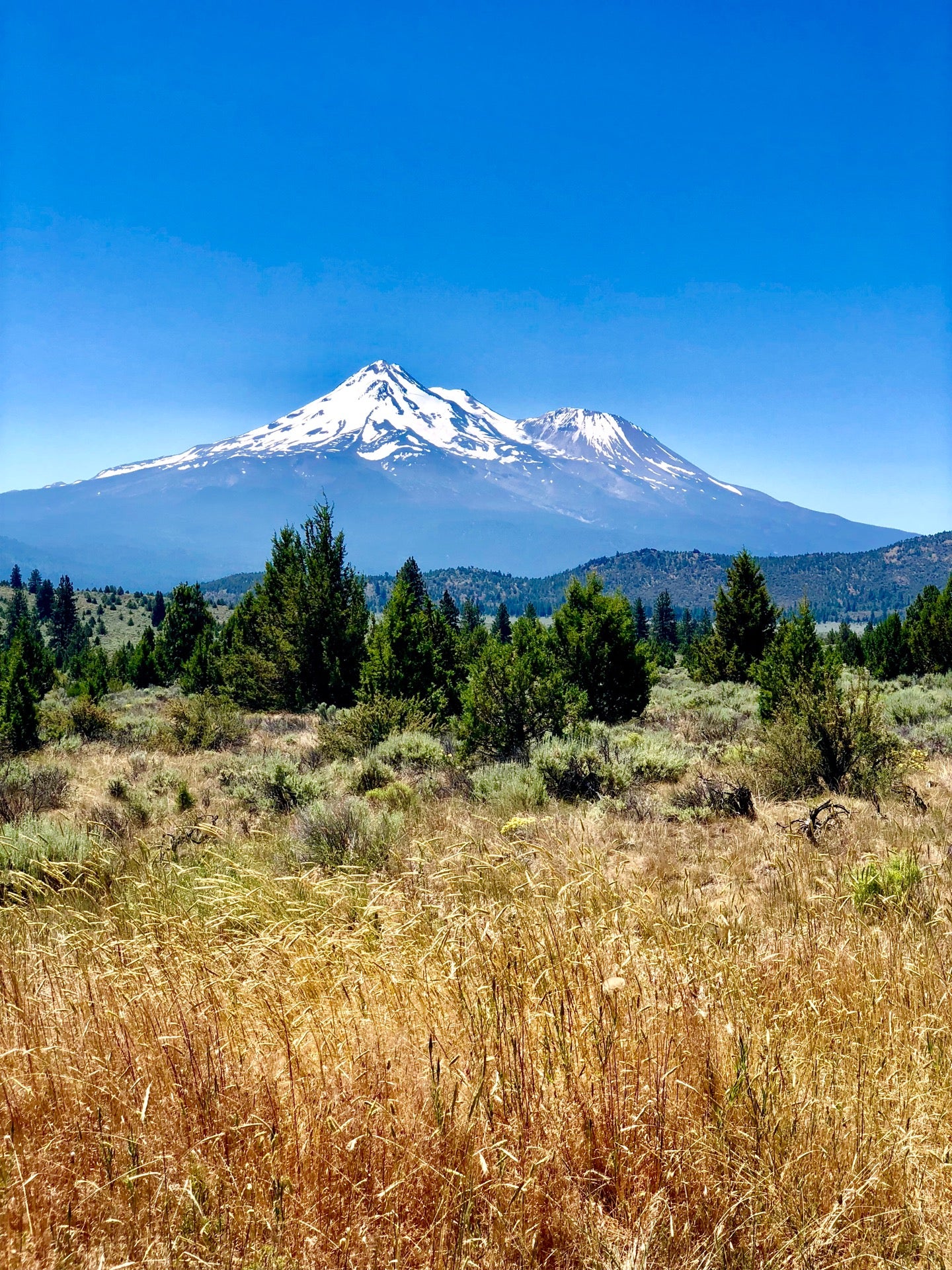 Mount Shasta Vista Point North, US97, Weed, CA MapQuest