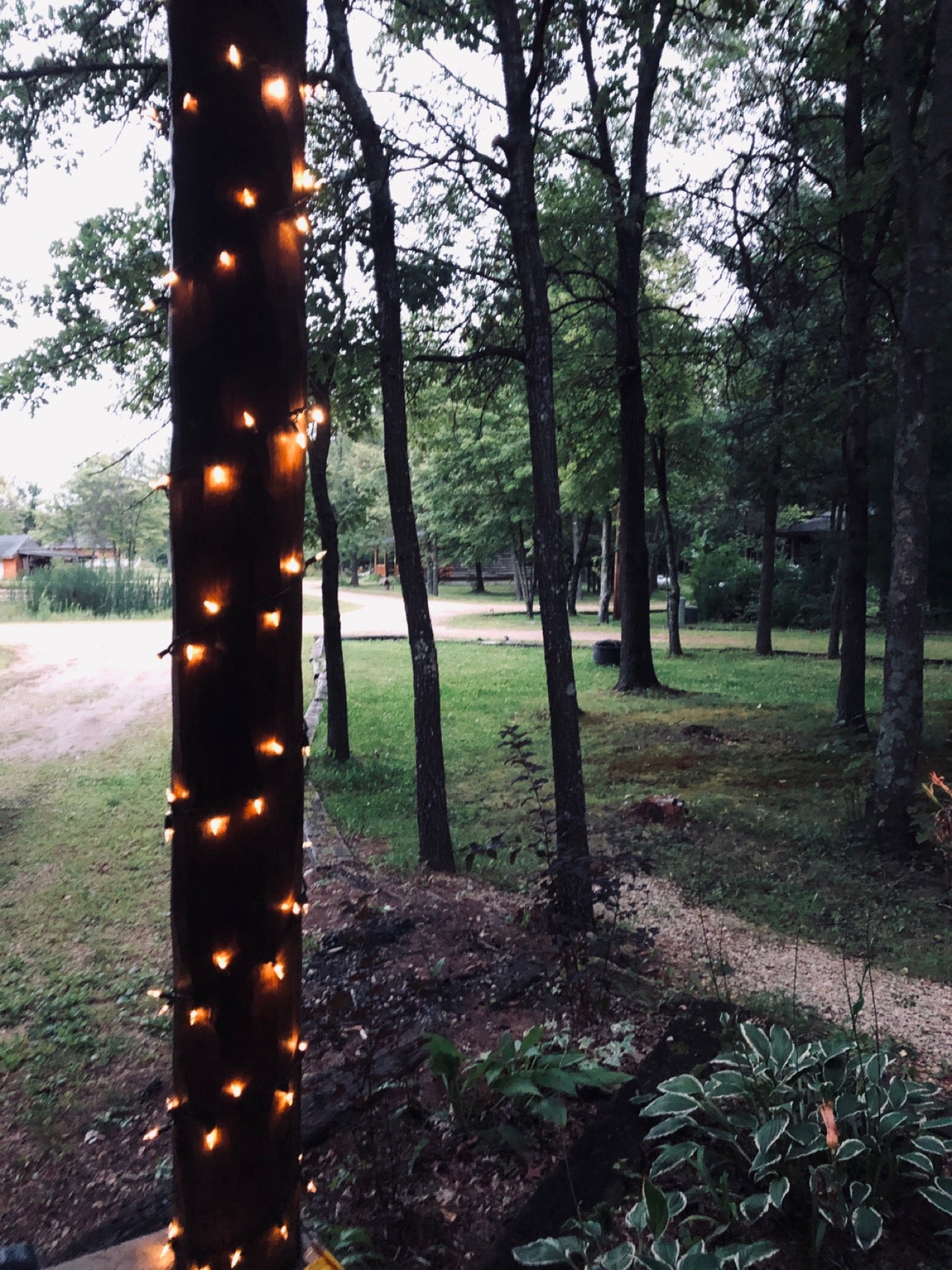 Necedah, WI Map & Directions MapQuest