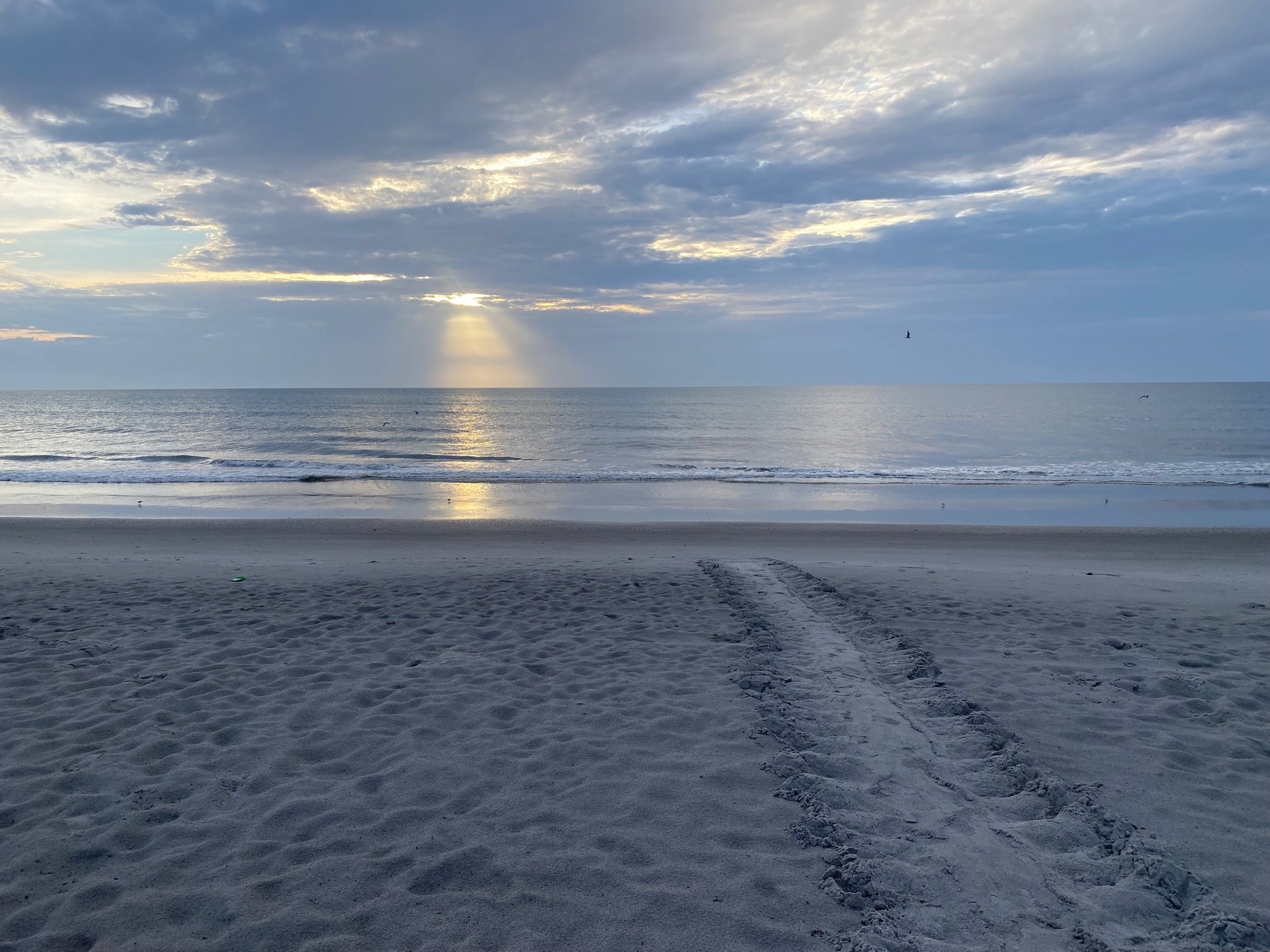 Cocoa Beach 4th Street, Sunflower St, Cocoa Beach, FL, Beach MapQuest