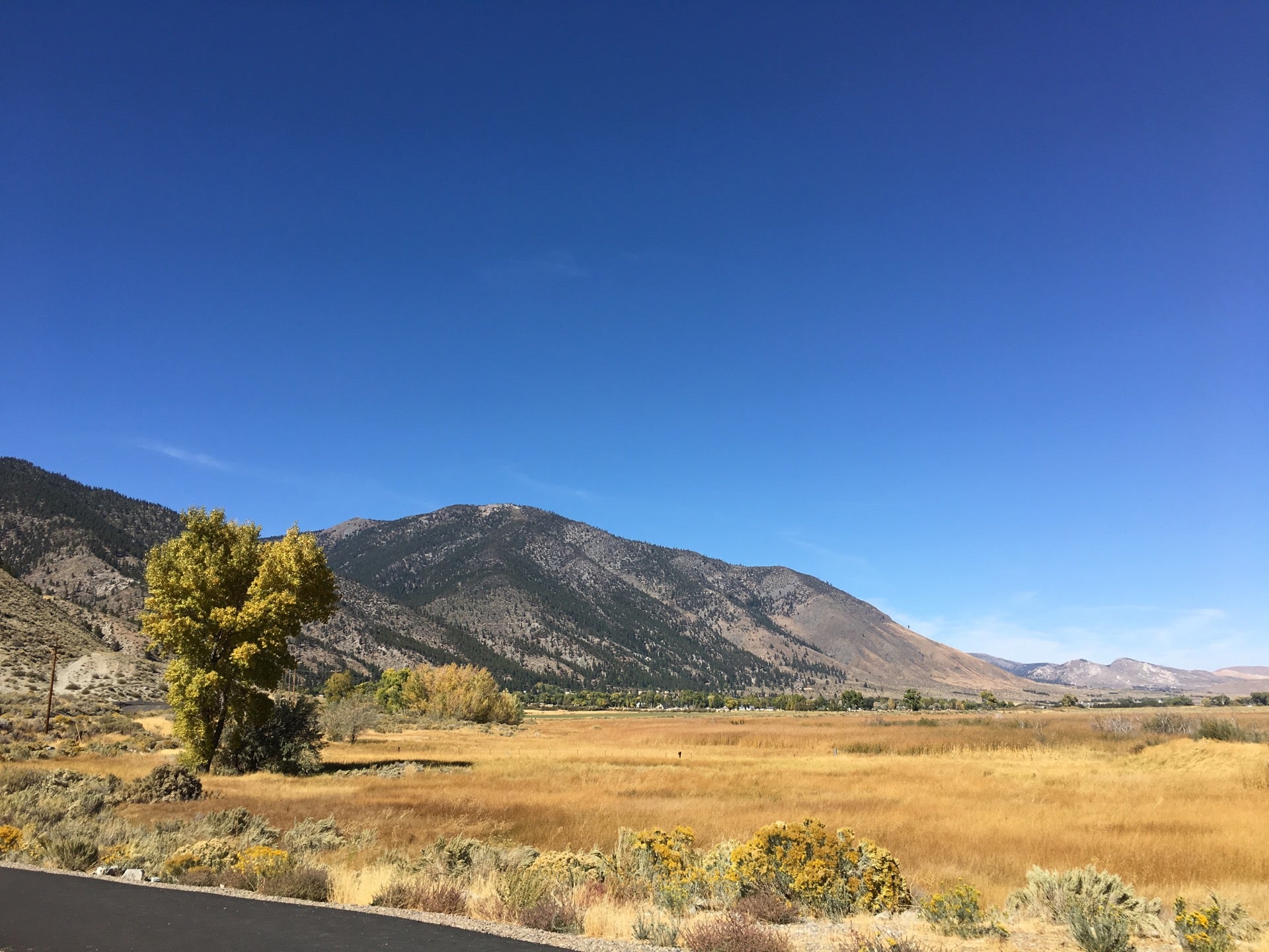 Gardnerville, NV Map & Directions - MapQuest
