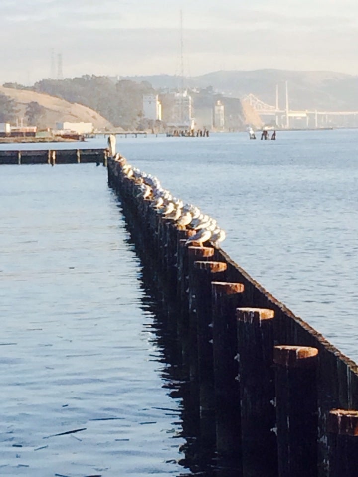 The Waterfront, Victoria Park, Hercules, CA MapQuest