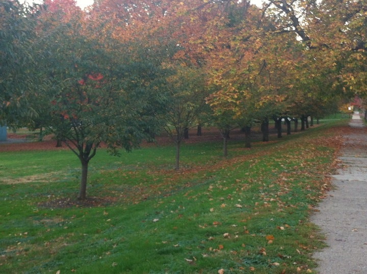 WESTINGHOUSE PARK, 310 N Lang Ave, Pittsburgh, Pennsylvania, Parks