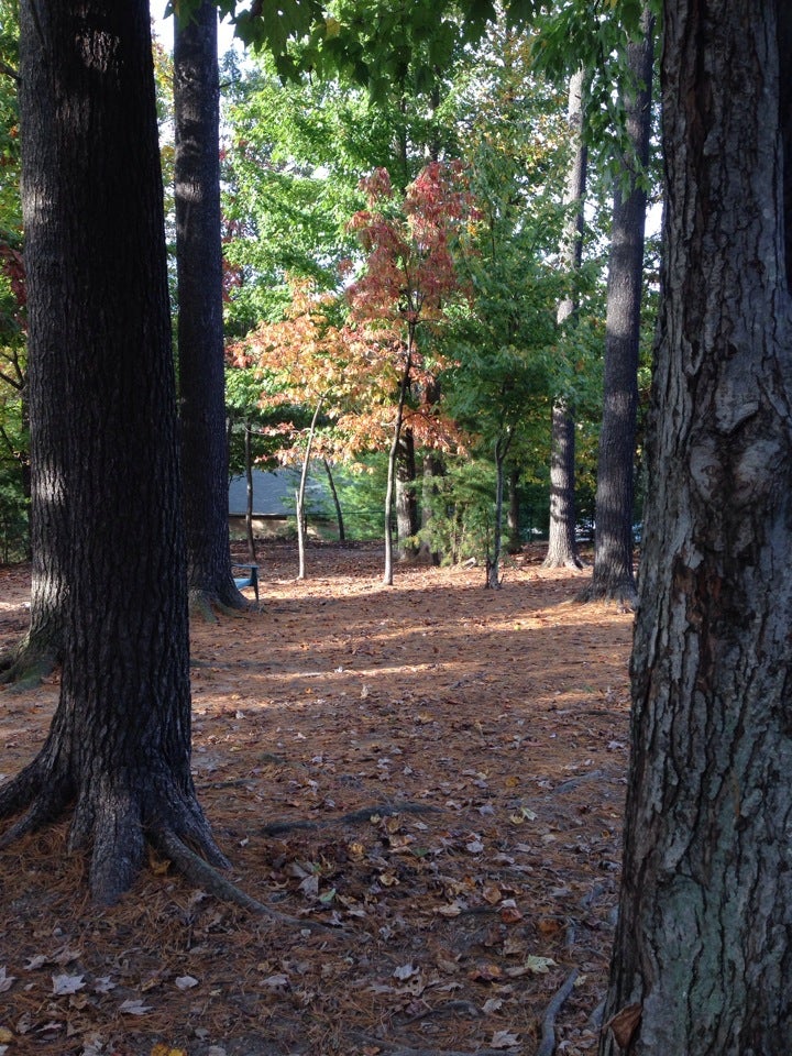 Bell Forest Dog Park, The Forest Biltmore Park Apartments, Asheville