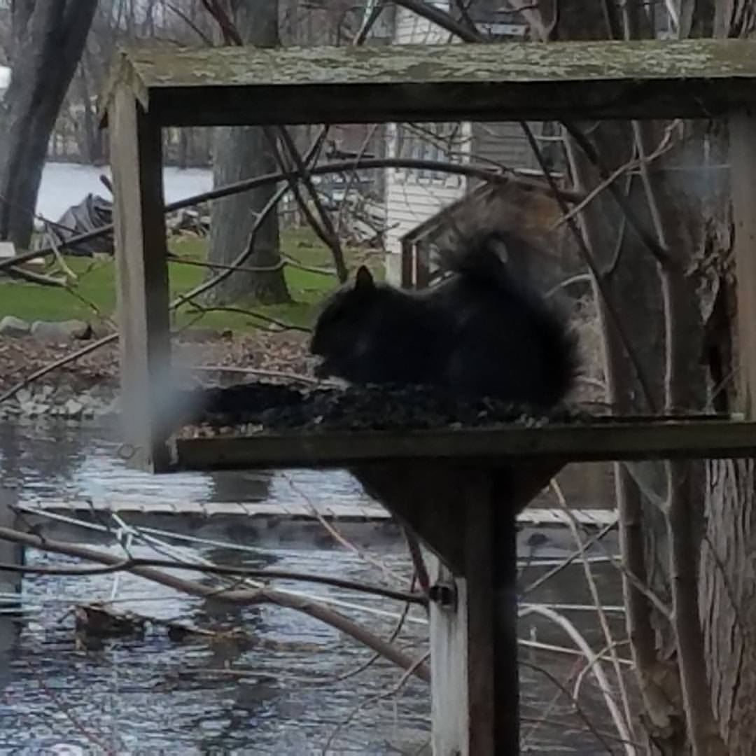 West Monroe, NY Map & Directions MapQuest