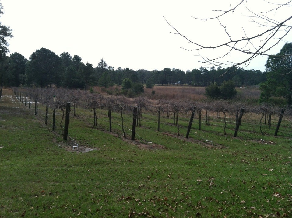 Florahome, FL Map & Directions MapQuest