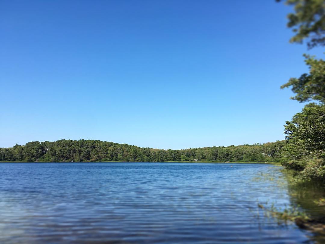 Slough Pond, Black Pond Rd, Truro, Town of, MA - MapQuest