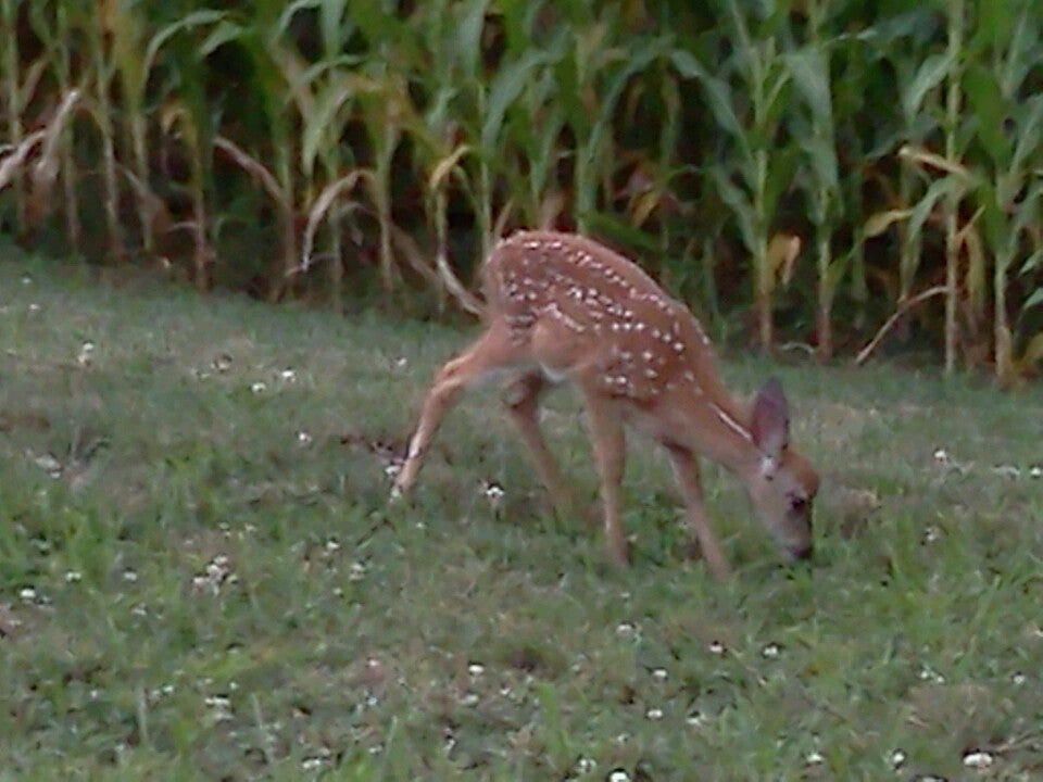 Logansport, IN Map & Directions MapQuest