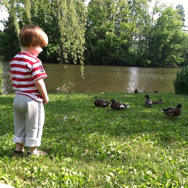 Duck Pond, Duckpond Dr, Blacksburg, VA - MapQuest