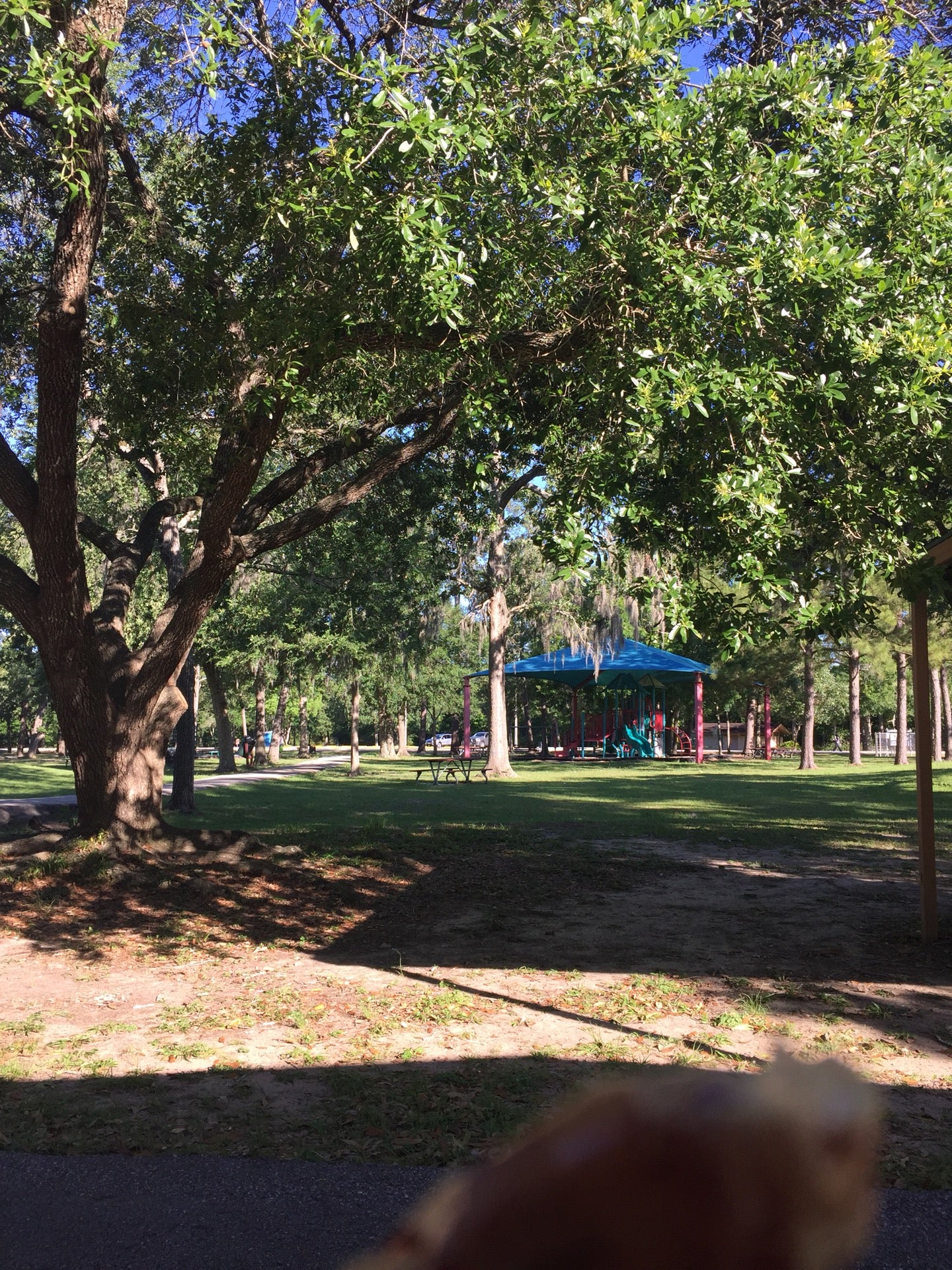 Frankie Carter Randolph Park, 5150 FM 2351 Rd, Friendswood, TX, Parks -  MapQuest