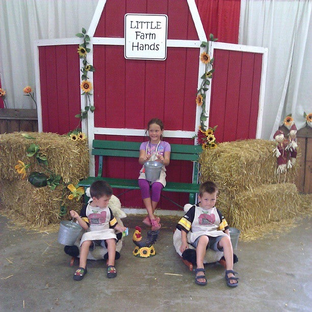 Fine Arts-Minnesota State Fair, 1265 Snelling Ave N, Falcon Heights, MN,  Farms - MapQuest