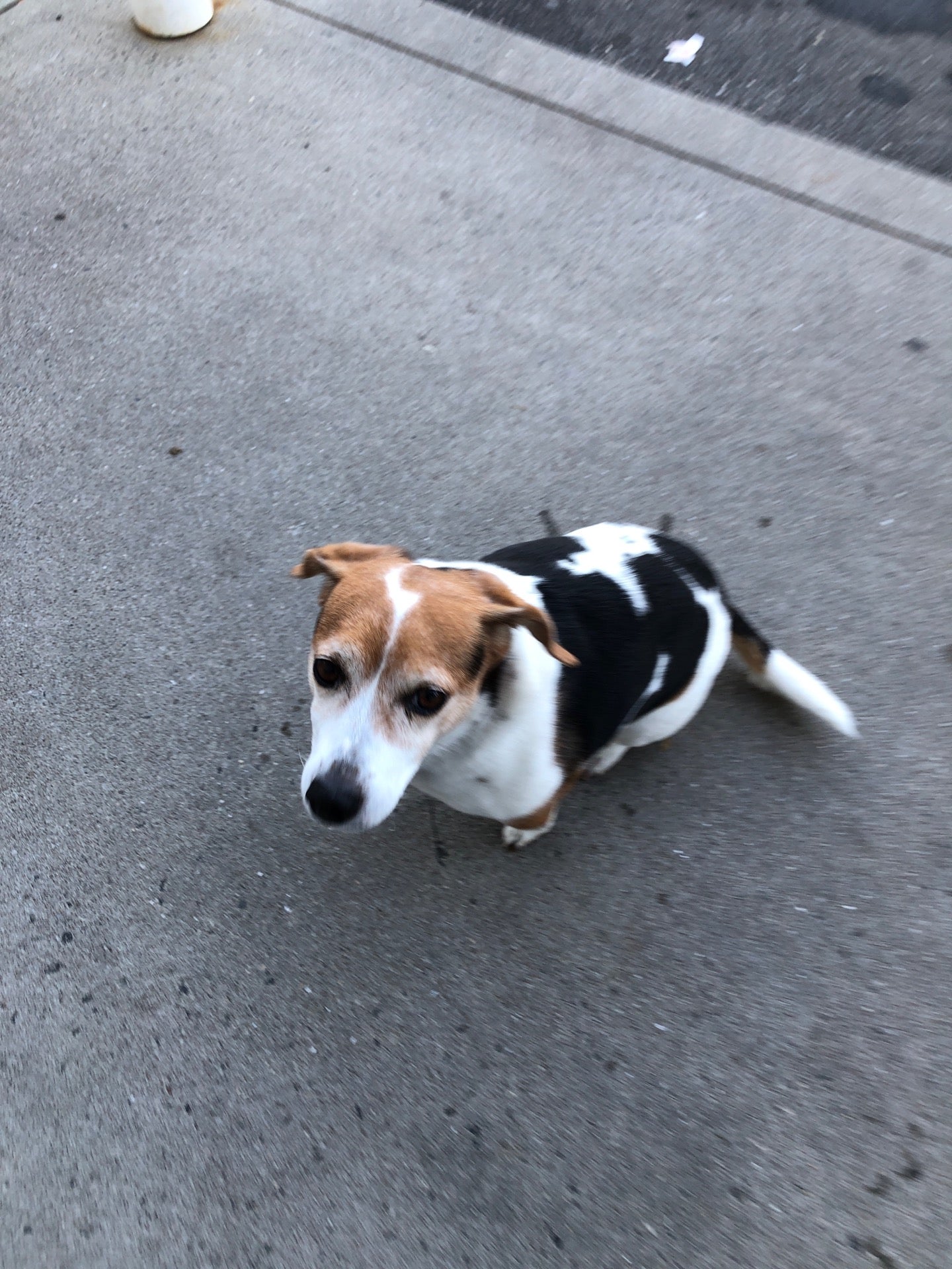 Cumberland Farms, 837 Suffield St, Agawam, MA, Convenience Stores