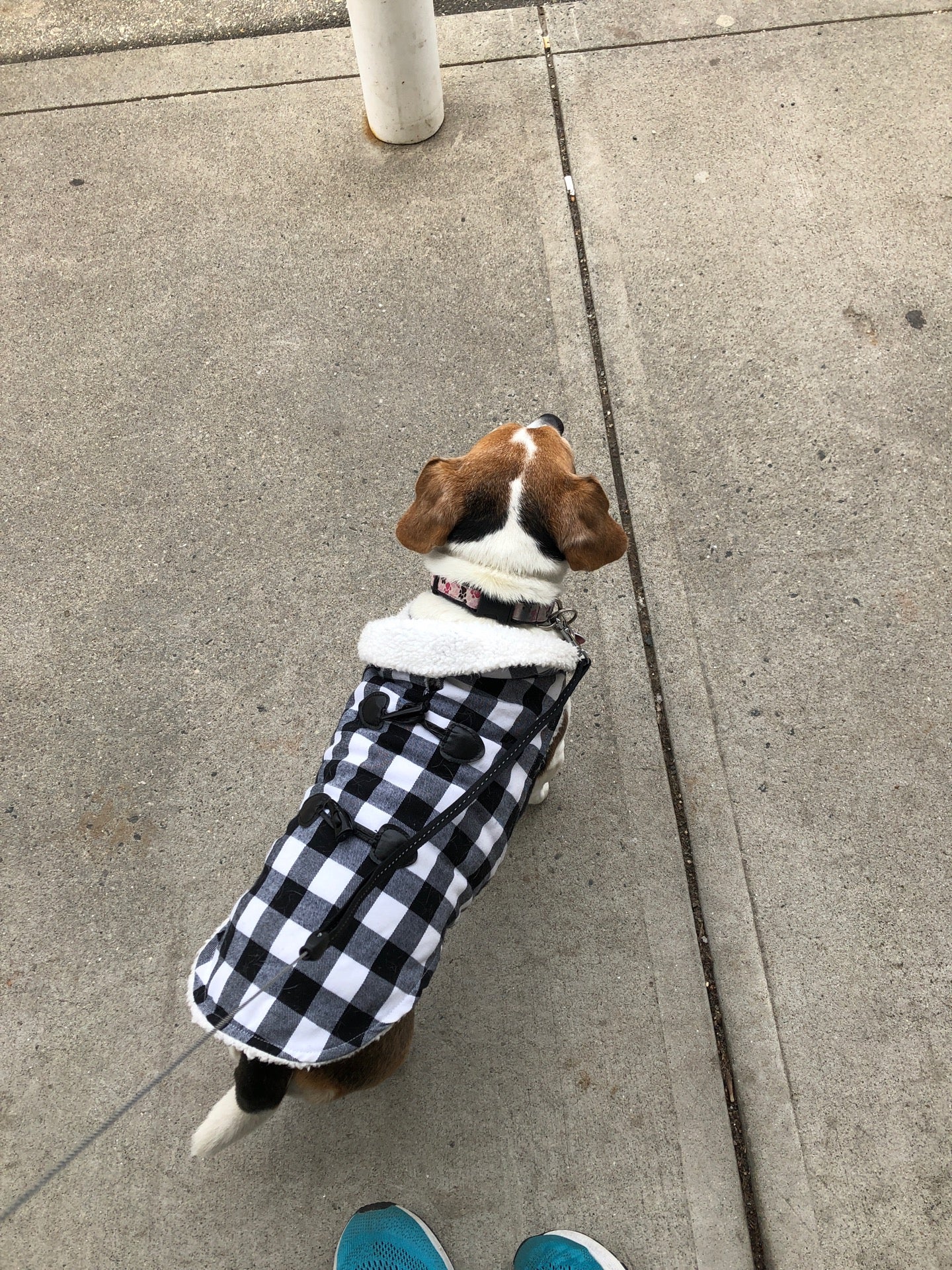 Cumberland Farms, 837 Suffield St, Agawam, MA, Convenience Stores