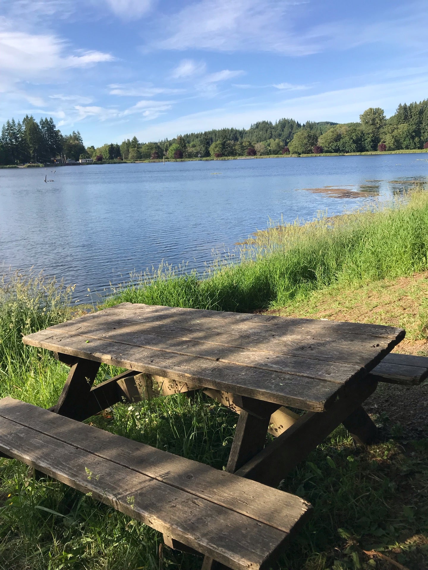 Vernonia Lake City Pond, E Bridge St, Vernonia, OR, Lake MapQuest
