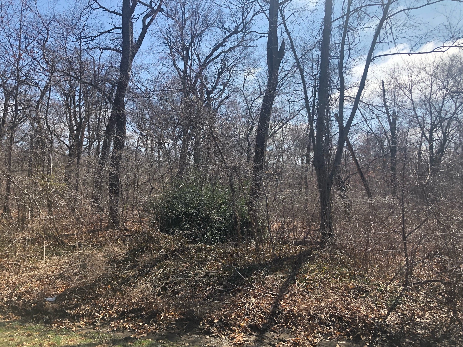 Roosevelt, NY Map & Directions MapQuest