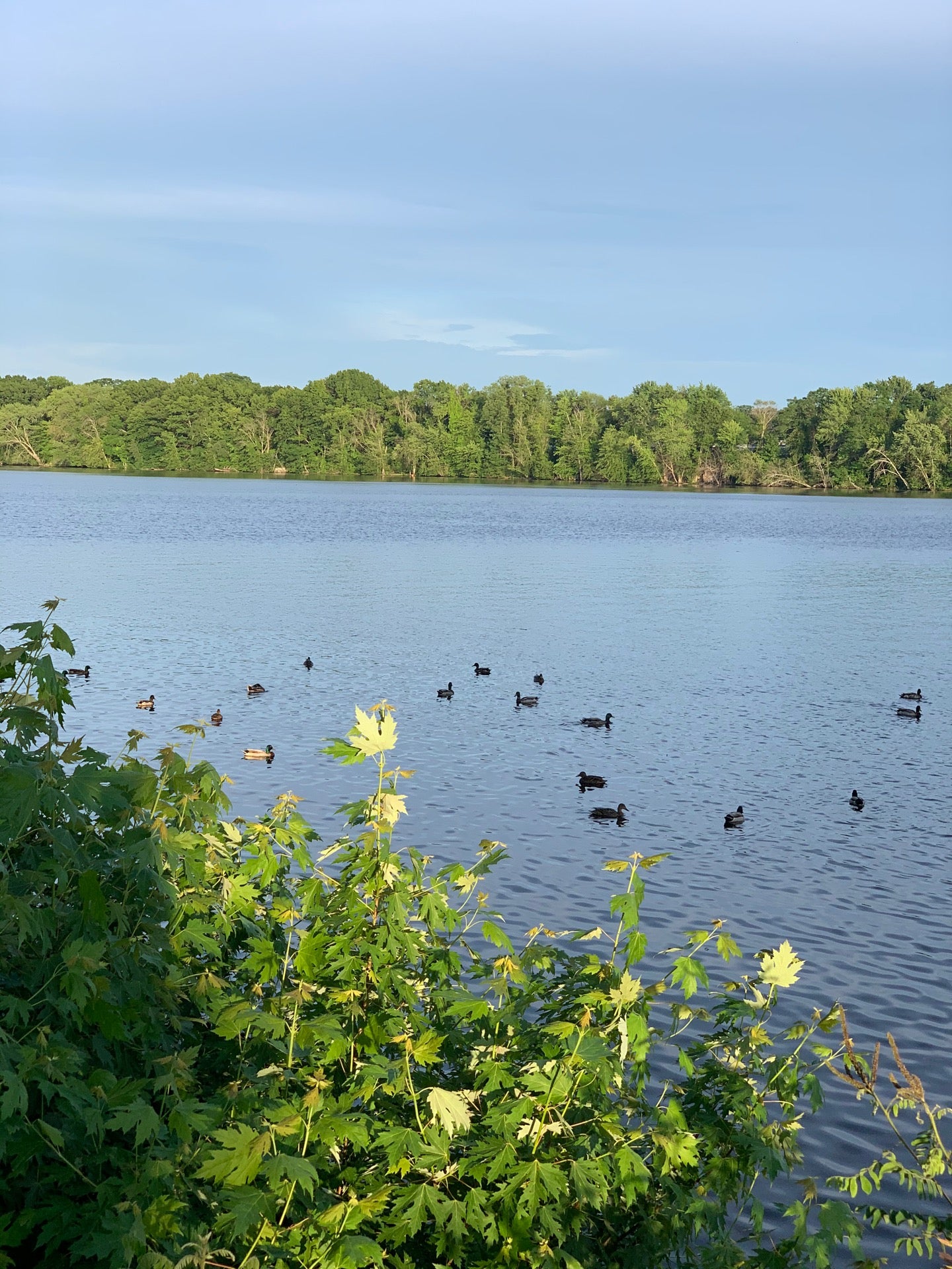 North Chelmsford, MA Map & Directions MapQuest