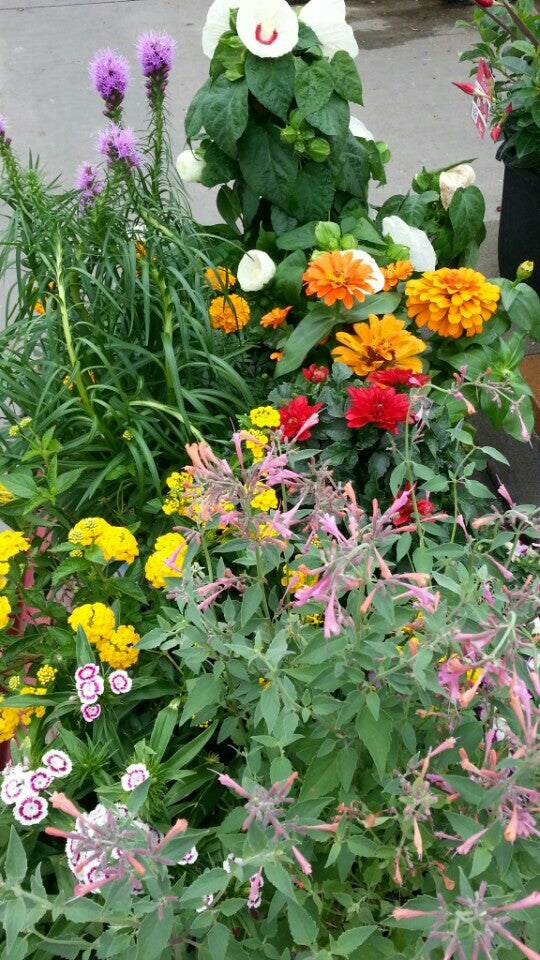 Lowe's Home Improvement, 12809 Shank Farm Way, Hagerstown, MD